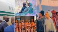 Presidential wedding of the year: 1st photos, videos of Yusuf Buhari's Fathia, Osinbajo, VIP guests arrive