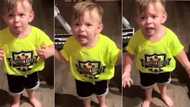 "She just left without kissing me": Little boy complains to dad about mum's attitude, video trends