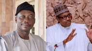 Hadiman Buhari sun mayar da Nigeria abar dariya a idon duniya, cewar ɗan majalisa