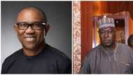 Ex-SGF Lawal insists on Peter Obi, says Atiku represents ethnic domination if he wins