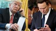 From allies to enemies: the cost of a Musk-Trump split