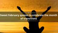 40 sweet February quotes to celebrate the month of transitions