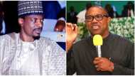 Buhari's ex-aide slams Labour Party, Peter Obi, reveals why PDP former chieftain defected