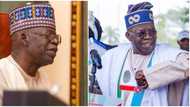 Boards dissolution: President Tinubu’s allies, APC faithful to benefit from over 2,000 vacancies