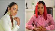 Influencer Amanda Chisom arrested over alleged involvement in N50bn Ponzi scheme, Nigerians react