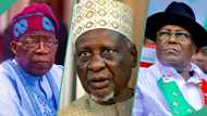 Anti-Tinubu coalition: "Why North alone can’t decide 2027 presidency," Tanko Yakassai, ACF speak