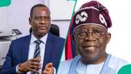 All incomes will be taxed no matter the source, says Tinubu's tax committee