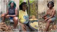 "Leave farming, e no dey pay": Man tells lady, she responds with creative video, Nigerians react