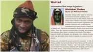 Abubakar Shekau: US reacts to reported death of Boko Haram leader, says ISIS won’t get $7m bounty