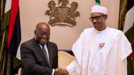 Presidency shares video as Buhari holds closed-door talks with African president