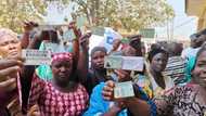 FCT area council elections: 6 key preliminary findings of Yiaga Africa on election day