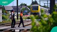Four killed as school minibus is struck by train in Belgium