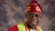 List of top groups openly backing Tinubu presidency in 2023