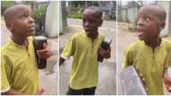 "Omo, see talent": Nigerian boy who raps like Tupac Shakur makes people happy with music, video causes frenzy