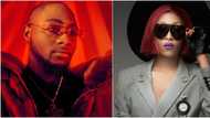 Davido shares plan to help Cynthia Morgan despite dissing him years ago, reveals he's got an anthem for her