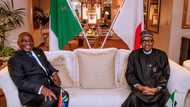 What Buhari, President Ramaphosa will do about South Africans' attack on Nigerians - Osinbajo