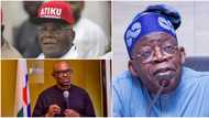 2023 campaign: Why Nigerians may reject APC, PDP, LP, others