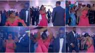 Bridesmaids, groomsmen thrill guests with amazing dancing skills, display different types of legwork in video