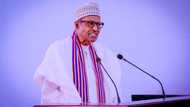Explainer: 10 key steps to impeach a Nigerian president
