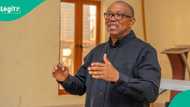 Peter Obi ya ware rukunin 'yan bindigan da zai yi sulhu da su idan ya zama shugaban kasa a 2027