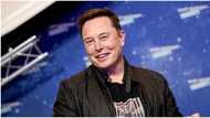 Tesla founder, Elon Musk, sued by one of the company's investors