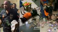 "This animal dey enjoy pass me": Rich Nigerian man celebrates loyal dog's birthday with excess cash