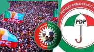 "75, 69...": Candidates' age released as APC, PDP, LP, others battle for the soul of Ondo Nov 16