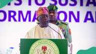 Tinubu's minister pledges review of academic curriculum in schools