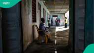 Medical charity warns Sudan's health system is collapsing after global aid funding cuts