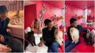 Billionaire's daughter Temi Otedola finally meets big sister DJ Cuppy’s dogs, calls them her nephews