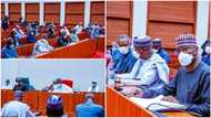 I never knew Nigeria’s healthcare infrastructure was this bad - SGF Boss Mustapha