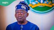 “Every deal is for your benefit,” Tinubu tells Nigerians as he defends foreign trips