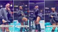 “She almost lost her home training”: Tems shyly shakes big backside on stage, fans call her God-fearing
