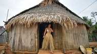 Amazon tribe go behind the camera in Nat Geo film 'The Territory'