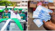 Naira sells for as high as N791 to dollar at official market, as CBN obeys President Tinubu's instructions