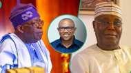 Atiku, Tinubu or Obi? Lawyer reveals who will decide right winner of 2023 presidential election