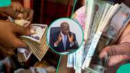 Nigerian households, businesses hold more money to spend as cash in circulation rises to N133tn