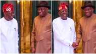 Jonathan reveals details of his meeting with President Tinubu