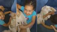 "This dog get mouth odour": Little girl brushes dog's teeth with force as mum watches, video trends