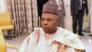 Shettima a shining light at 56, APC Deputy spokesperson, Ajaka, praises Tinubu's running mate