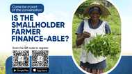 BATN Foundation hosts 2025 Agribusiness Dialogue to address smallholder financing