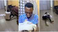 "Joy unspeakable": Nigerian man jubilates widely on floor as his wife gives birth safely, video melts hearts