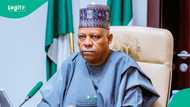 VP Shettima chairs NEC meeting at presidential villa