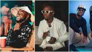 Na OBO we dey wait for: Nigerians say they won't miss Davido, P-Square and Laycon's concert this December