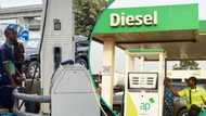 Fresh fuel price update: Diesel surges in Lagos, Warri, Port Harcourt despite stable petrol rates