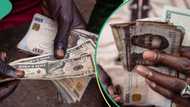 Big boost for naira as Nigeria’s foreign exchange market records high dollar inflow