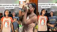 "Hire me too": Excited twins guy iPhone 12 for their camerawoman as Elon Musk pays Nigerian content creators