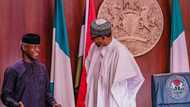 Farin jinin Buhari, da abubuwa 8 da za su taimakawa Osinbajo a takarar Shugaban kasa