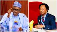 Track and trap bandits and terrorists: Shehu Sani reacts as FG bars outgoing calls on unlinked SIMs
