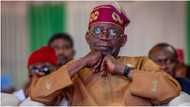 10th NASS: S’East senators-elect send strong message to Tinubu, demand senate president seat